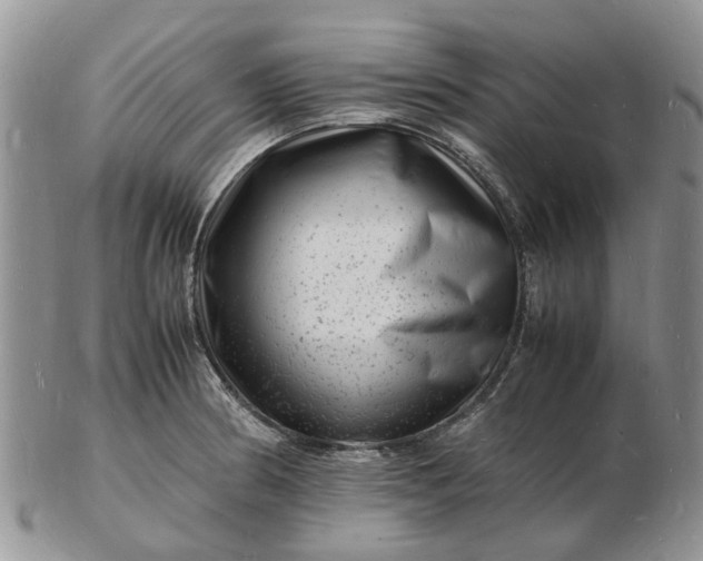 X0000102781186200809021045