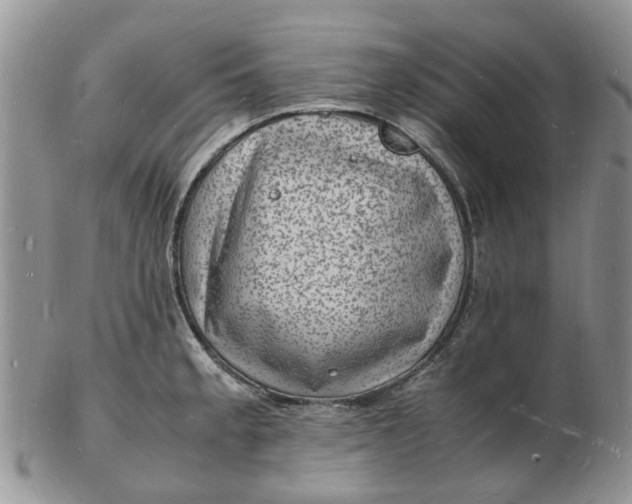 X0000102781189200809021045