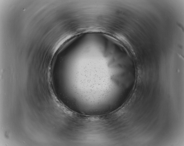 X0000102781190200809021045