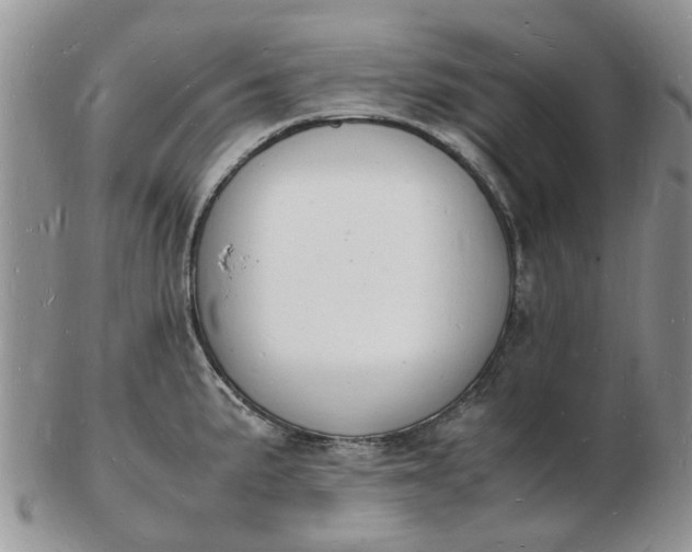 X0000102781191200809021045