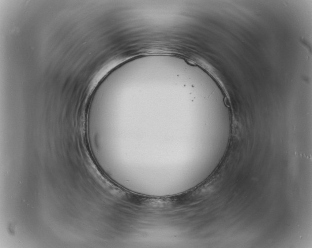 X0000102781195200809021045