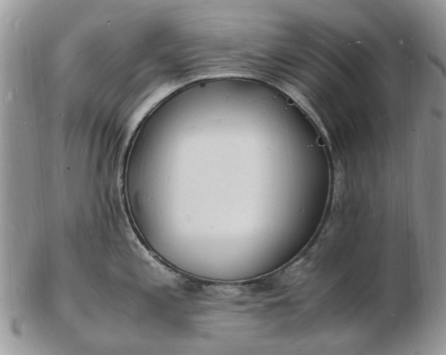 X0000102781197200809021045