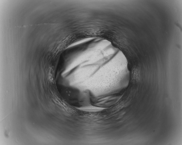 X0000102781202200809021044