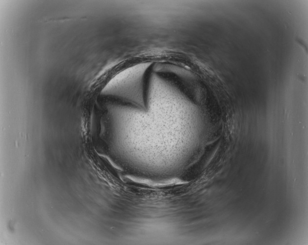 X0000102781206200809021044