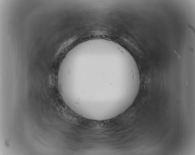 X0000102781207200809021044