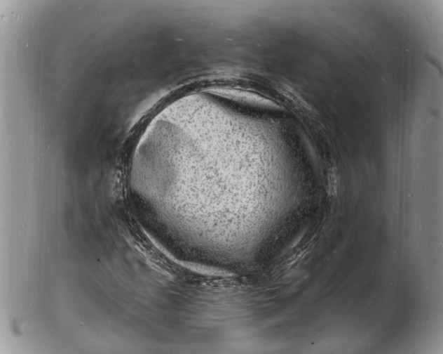 X0000102781208200809021044