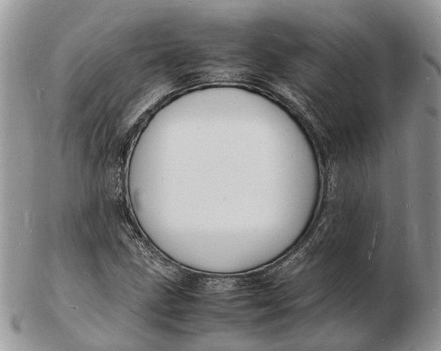 X0000102781211200809021044