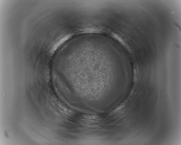 X0000102781213200809021044