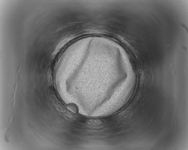 X0000102781215200809021044