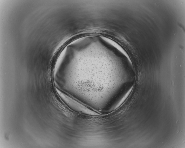 X0000102781216200809021044