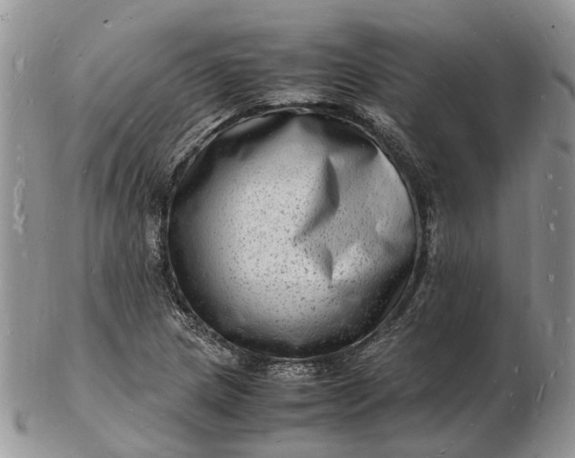 X0000102781217200809021045