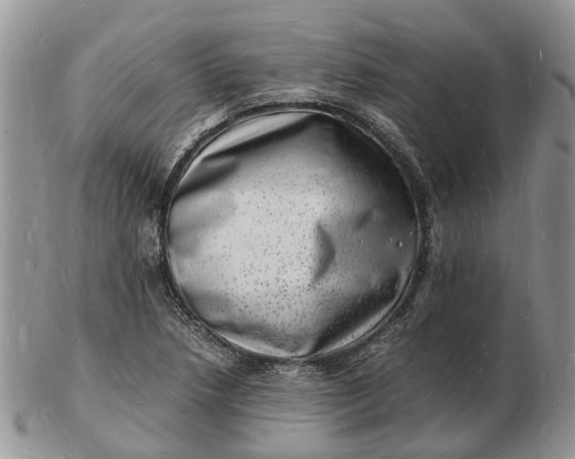 X0000102781218200809021045