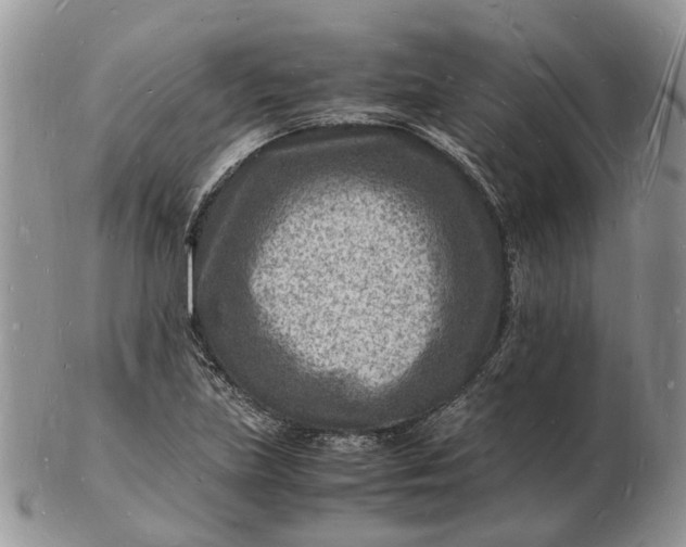 X0000102781219200809021045