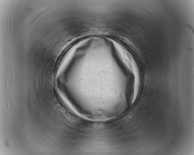 X0000102781220200809021045