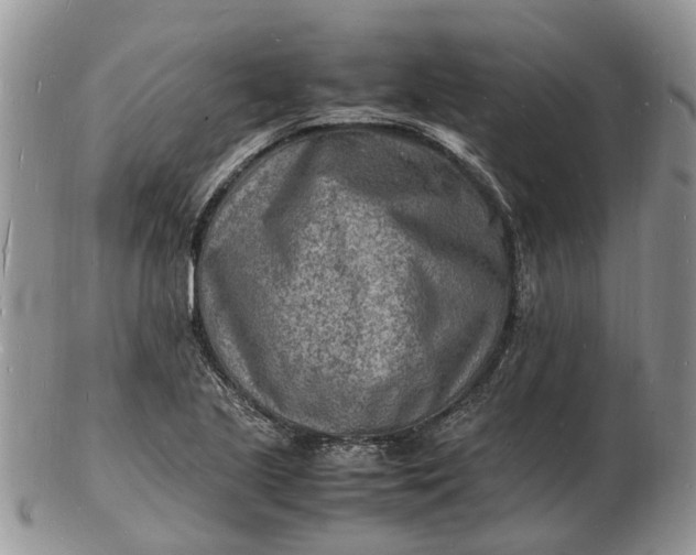 X0000102781221200809021045