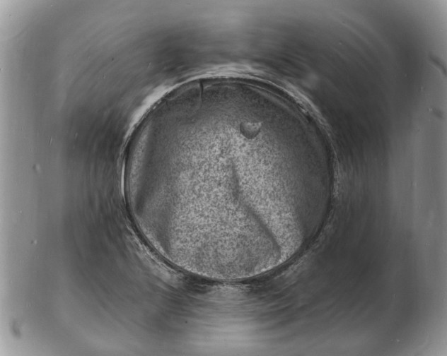 X0000102781224200809021045