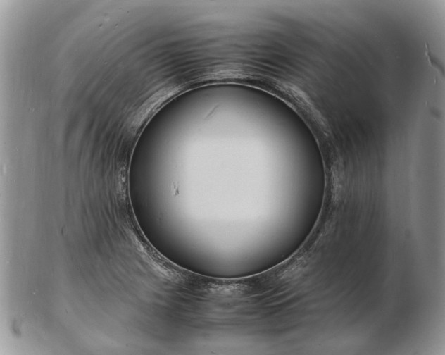 X0000102781225200809021045