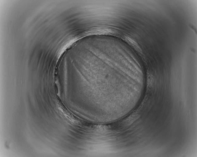 X0000102781226200809021045