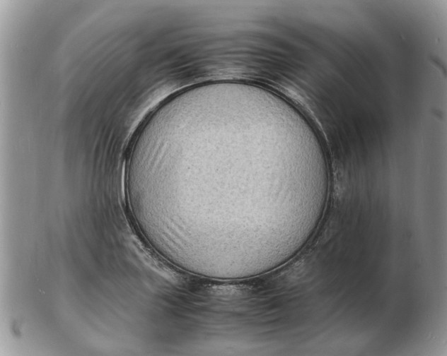 X0000102781227200809021045