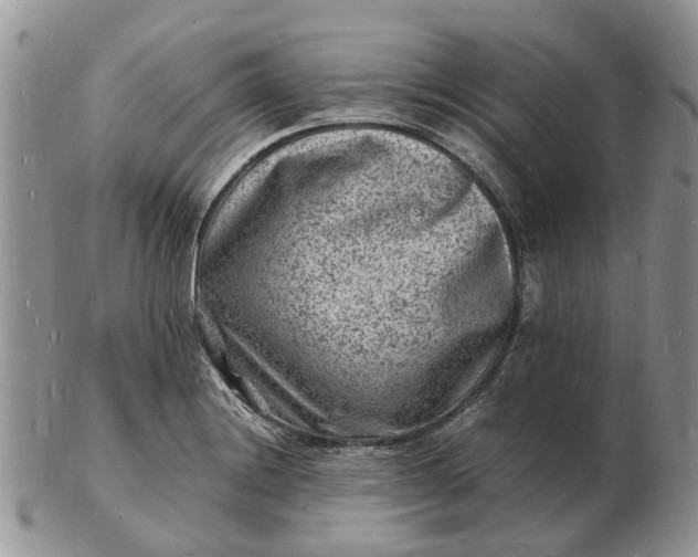 X0000102781228200809021045