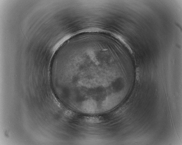 X0000102781229200809021045