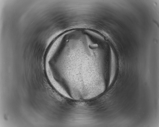 X0000102781230200809021045