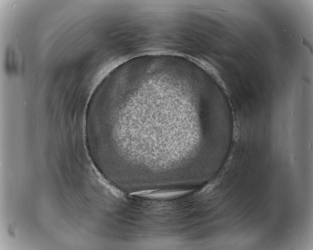 X0000102781231200809021045