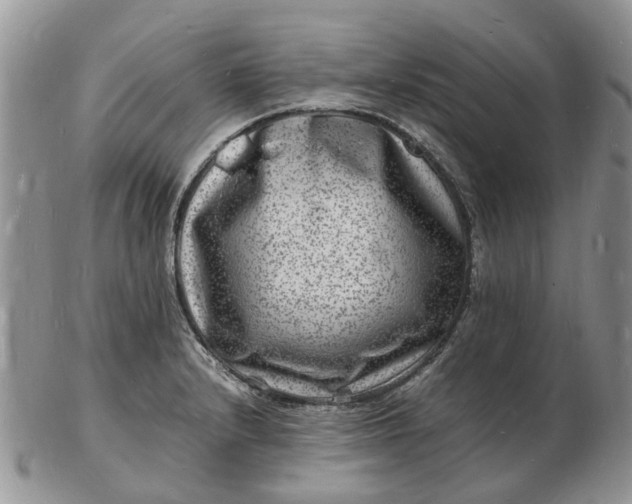 X0000102781232200809021045