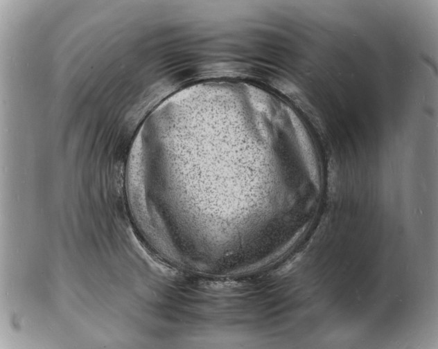 X0000102781233200809021045