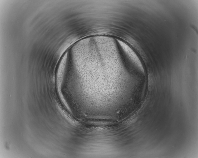 X0000102781234200809021045