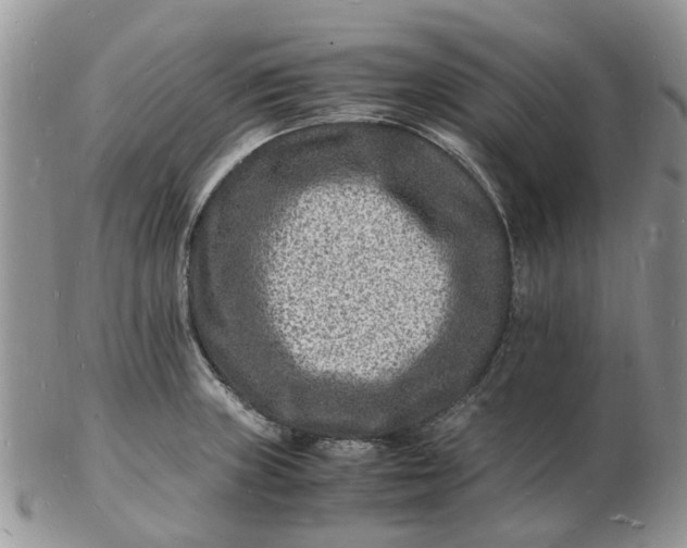 X0000102781235200809021045