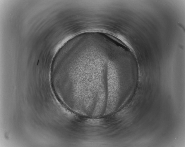 X0000102781237200809021045