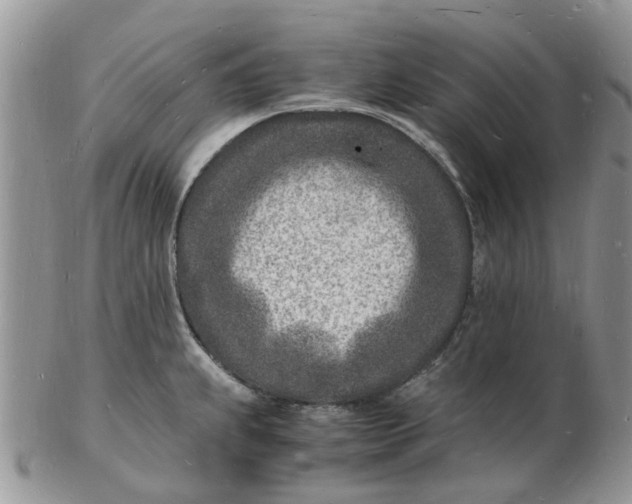 X0000102781239200809021045