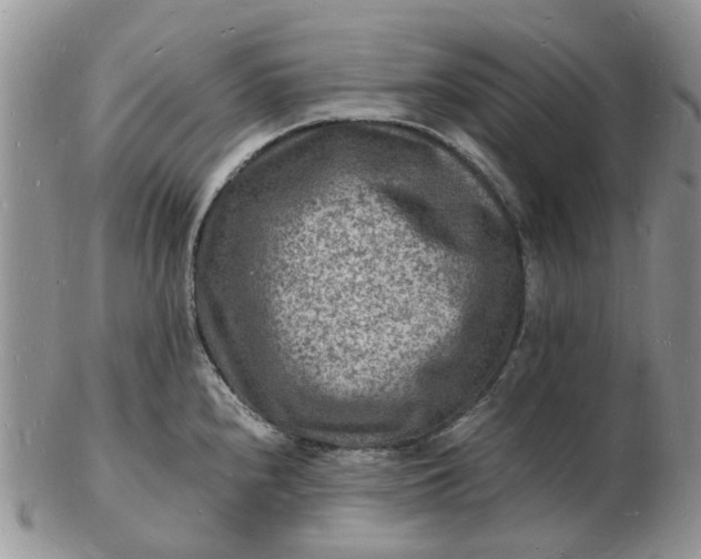 X0000102781240200809021045