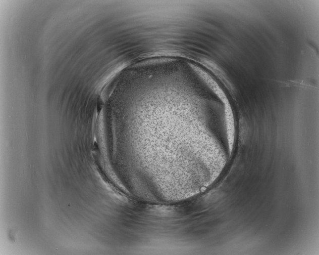 X0000102781241200809021045