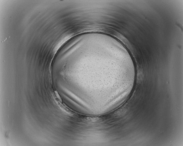 X0000102781242200809021045