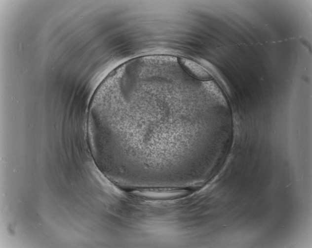 X0000102781244200809021045