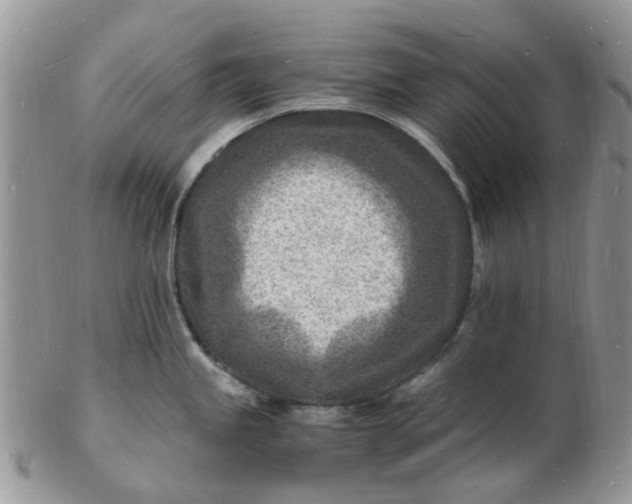 X0000102781245200809021045