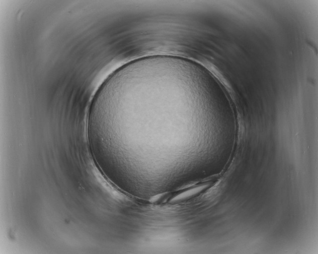 X0000102781246200809021045