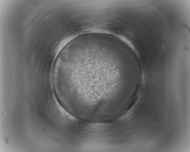 X0000102781247200809021045