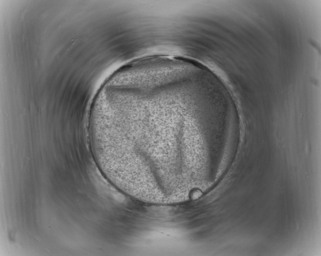 X0000102781248200809021045