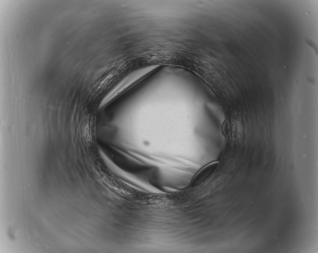 X0000102781250200809021044