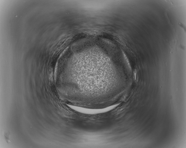 X0000102781251200809021044