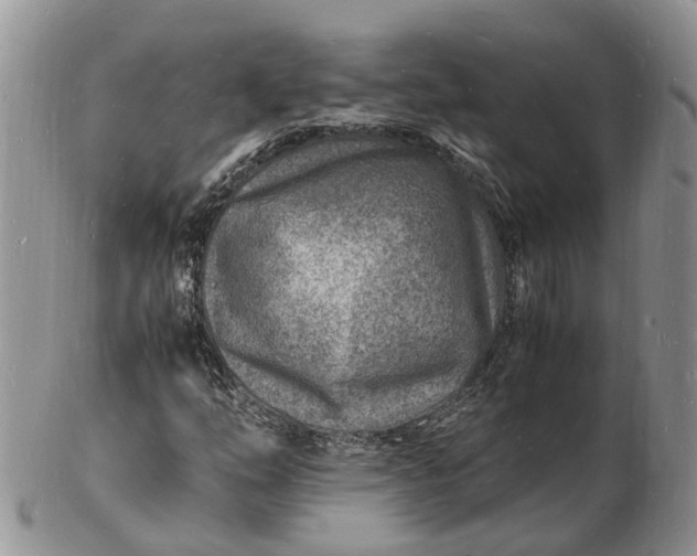 X0000102781254200809021044