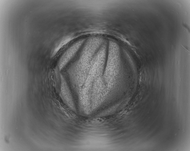 X0000102781255200809021044