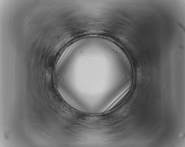 X0000102781257200809021044