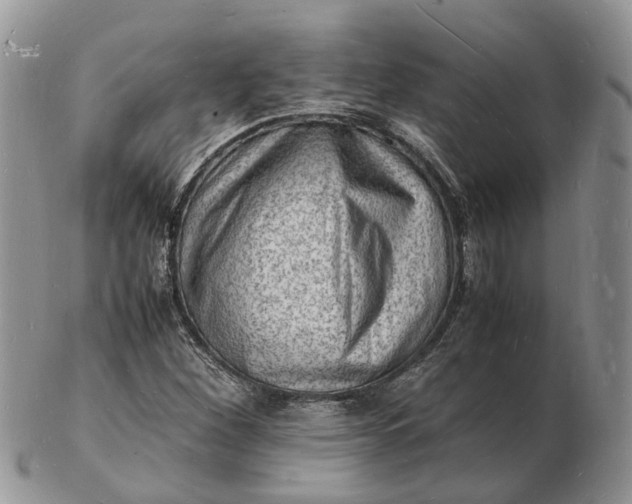 X0000102781260200809021044