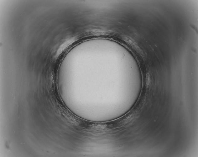 X0000102781261200809021044