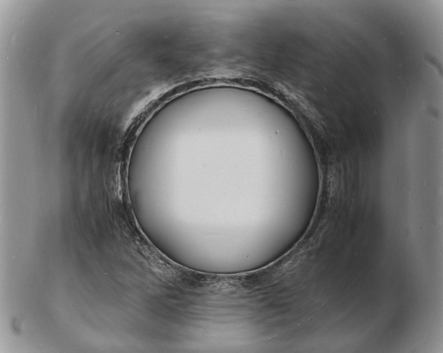 X0000102781262200809021044