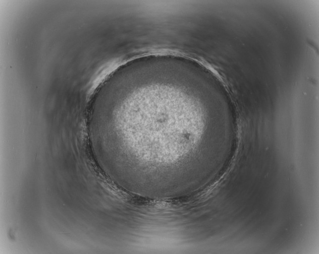 X0000102781263200809021044